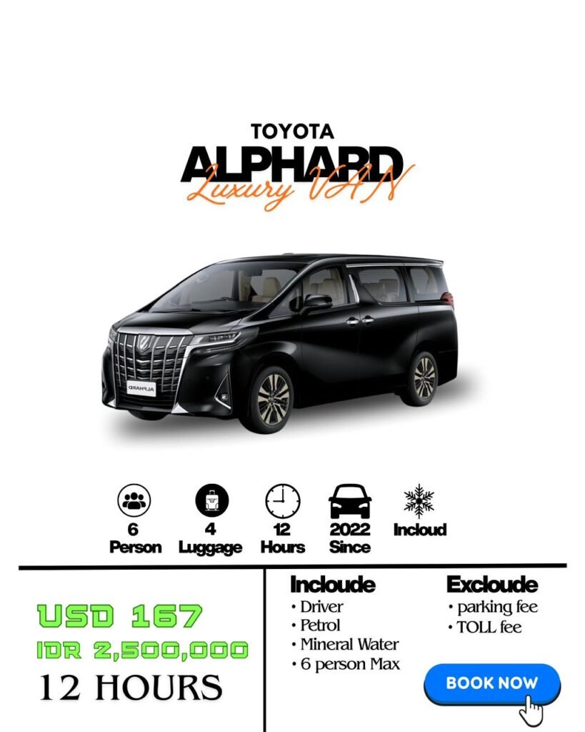 WhatsApp Image 2025-10-29 at 18.50.36